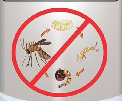 Mosquito Breeding Prevention